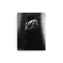 Load image into Gallery viewer, "Night Vixen" Canvas